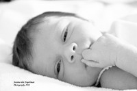 /album/fotogalerij-portfolio2/img-2235-jpg/